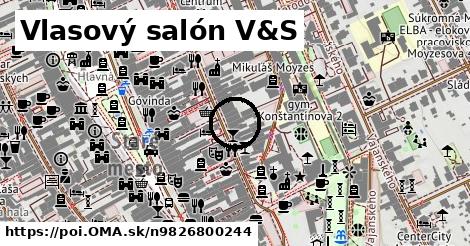 Vlasový salón V&S