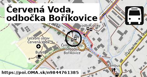 Červená Voda, odbočka Boříkovice