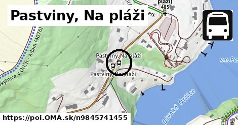 Pastviny, Na pláži