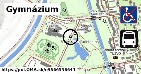 Gymnázium