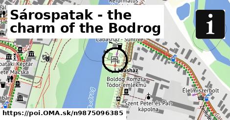 Sárospatak - the charm of the Bodrog