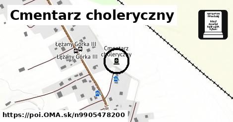 Cmentarz choleryczny