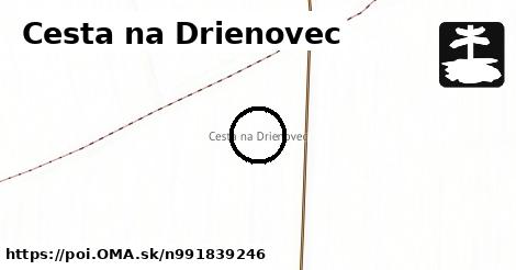 Cesta na Drienovec