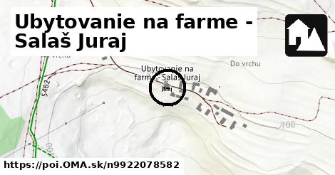 Ubytovanie na farme - Salaš Juraj