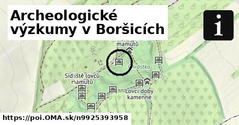 Archeologické výzkumy v Boršicích