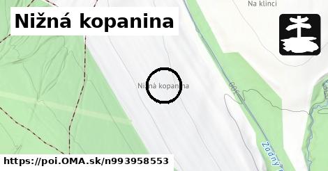 Nižná kopanina