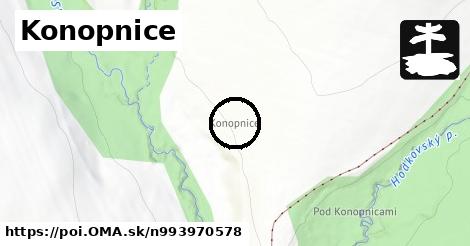 Konopnice