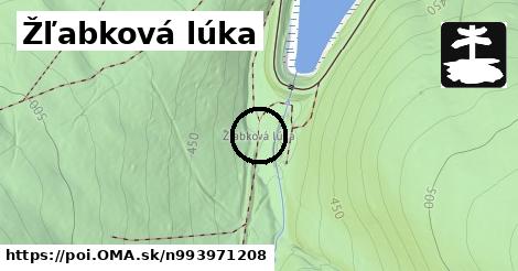 Žľabková lúka