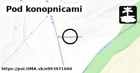 Pod konopnicami