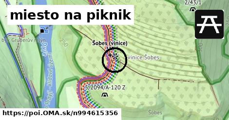 miesto na piknik