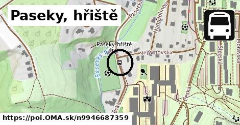 Paseky, hřiště