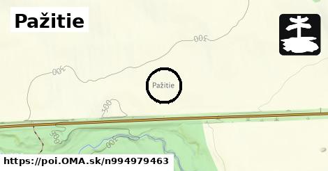 Pažitie