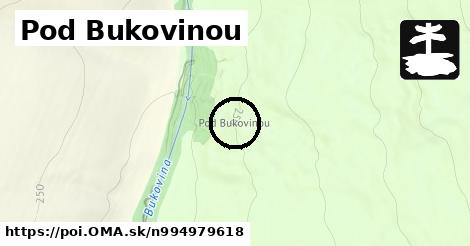 Pod Bukovinou