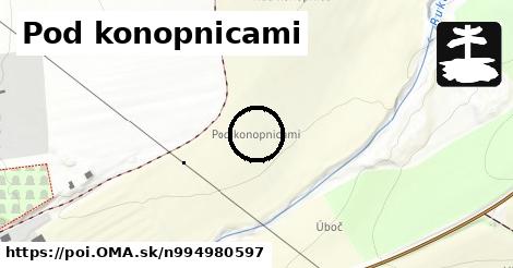 Pod konopnicami