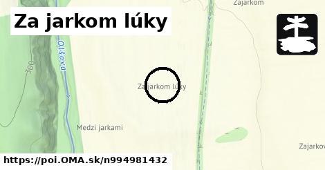 Za jarkom lúky