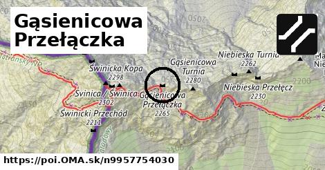 Gąsienicowa Przełączka