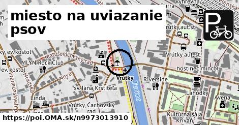 miesto na uviazanie psov