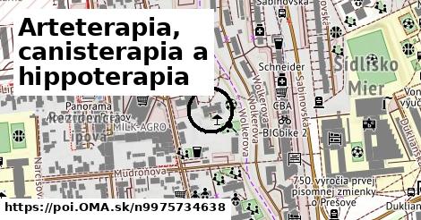 Arteterapia, canisterapia a hippoterapia