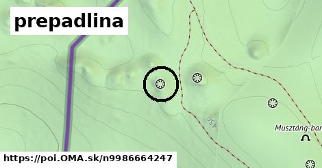 prepadlina