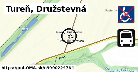 Tureň, Družstevná