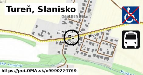 Tureň, Slanisko