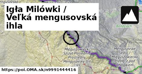 Igła Milówki / Veľká mengusovská ihla