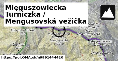 Mięguszowiecka Turniczka / Mengusovská vežička