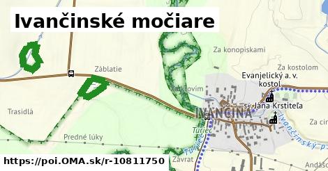 Ivančinské močiare