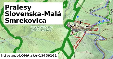 Pralesy Slovenska-Malá Smrekovica