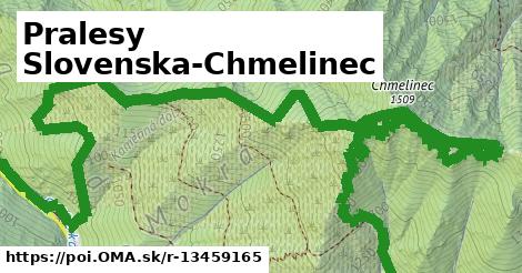 Pralesy Slovenska-Chmelinec