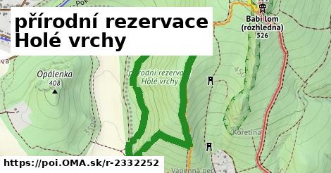 přírodní rezervace Holé vrchy