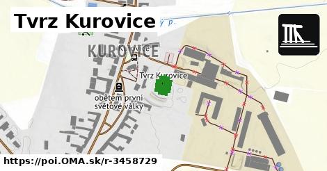 Tvrz Kurovice