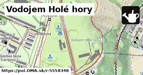 Vodojem Holé hory