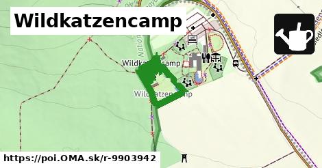 Wildkatzencamp