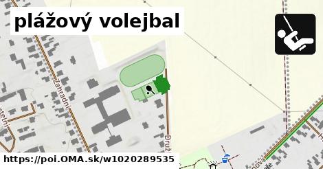 plážový volejbal