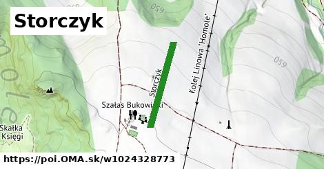 Storczyk