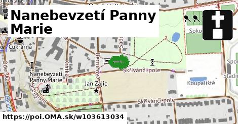 Nanebevzetí Panny Marie