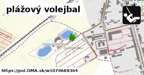 plážový volejbal