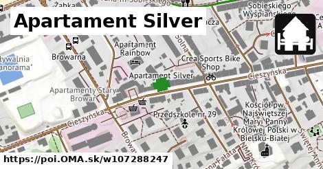Apartament Silver