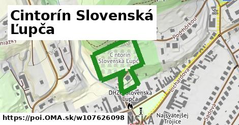 Cintorín Slovenská Ľupča