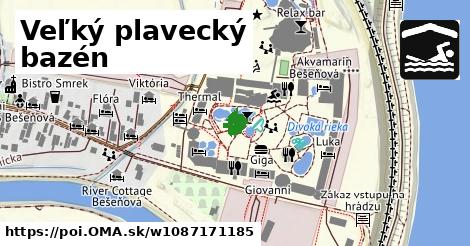 Veľký plavecký bazén