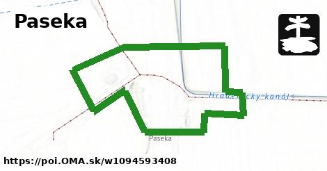 Paseka