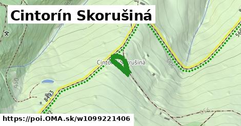 Cintorín Skorušiná