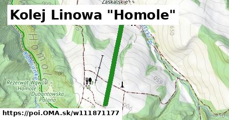 Kolej Linowa "Homole"