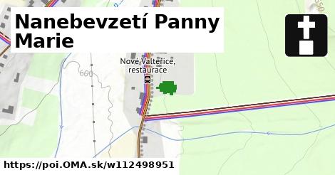 Nanebevzetí Panny Marie