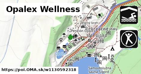 Opalex Wellness