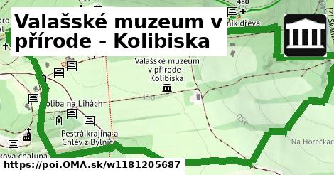 Valašské muzeum v přírode - Kolibiska