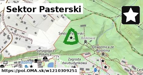 Sektor Pasterski