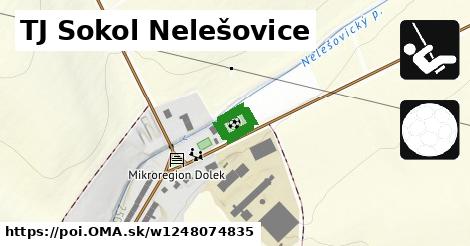 TJ Sokol Nelešovice