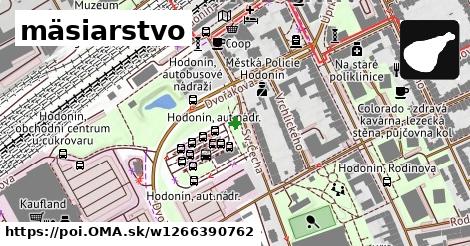 mäsiarstvo